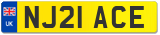 NJ21 ACE