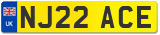 NJ22 ACE