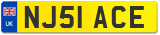 NJ51 ACE