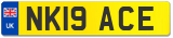 NK19 ACE
