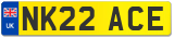 NK22 ACE