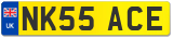 NK55 ACE