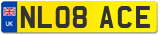 NL08 ACE