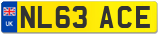 NL63 ACE