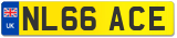 NL66 ACE