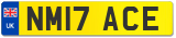 NM17 ACE