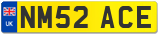 NM52 ACE