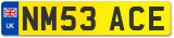 NM53 ACE