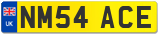 NM54 ACE