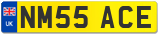 NM55 ACE