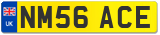 NM56 ACE