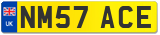 NM57 ACE