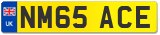 NM65 ACE