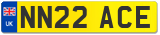 NN22 ACE