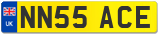 NN55 ACE