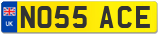 NO55 ACE