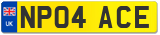 NP04 ACE