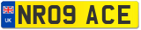 NR09 ACE