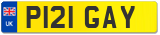 P121 GAY