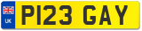 P123 GAY