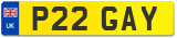 P22 GAY