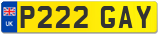 P222 GAY