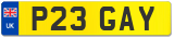 P23 GAY