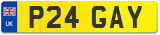 P24 GAY