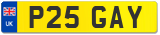 P25 GAY