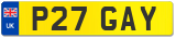 P27 GAY