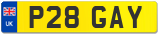 P28 GAY