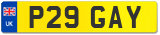 P29 GAY
