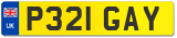 P321 GAY