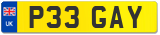 P33 GAY