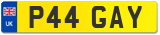 P44 GAY