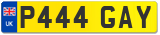 P444 GAY