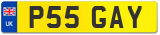P55 GAY
