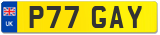 P77 GAY