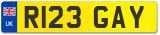 R123 GAY