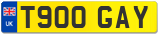 T900 GAY