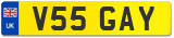 V55 GAY