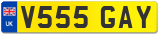 V555 GAY