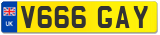 V666 GAY