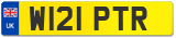 W121 PTR