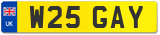 W25 GAY