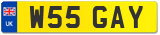 W55 GAY