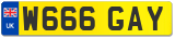 W666 GAY