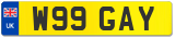 W99 GAY