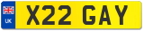 X22 GAY