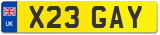 X23 GAY